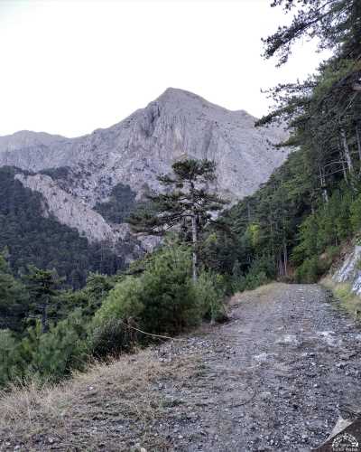 Karcı Dağı